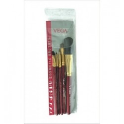 Vega Set Of 5 Cosmetic Brushes