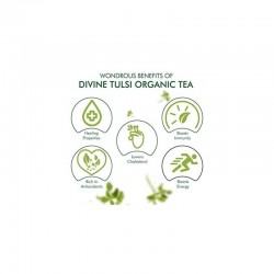 Eco Valley Organic Green Tea Divine Tulsi 30 Tea Bags