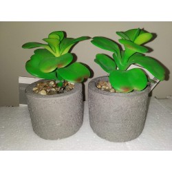 Tarrington House The Artificial Potted Plants pack of 2