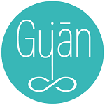 Gyan Telecom